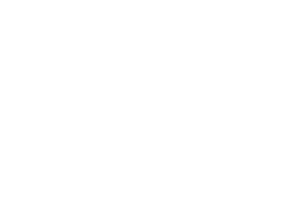 Real Estate Junction Co