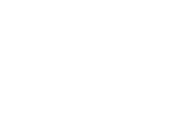 Real Estate Junction Co